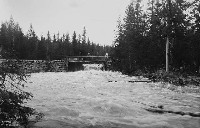 Prot: Tømmerfløtning, dammen