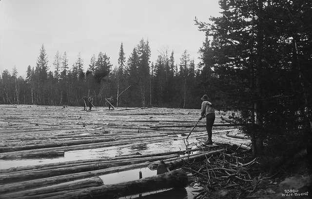 Prot: Tømmerfløtning, dammen