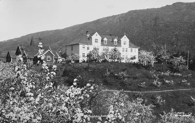 Prot: Sogn - Sogndal, frugtrær