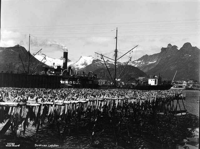 Prot: Svolvær, lastning av fisk