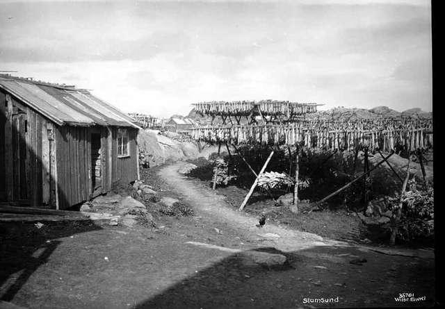 Prot: Stamsund, hjeller