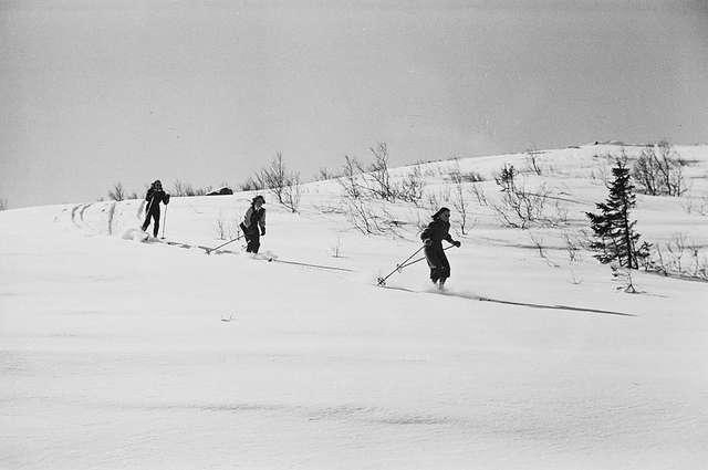 Prot: Fjellet.