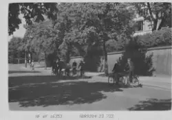 Prot: Syklister, söndag, Bygdö Allè