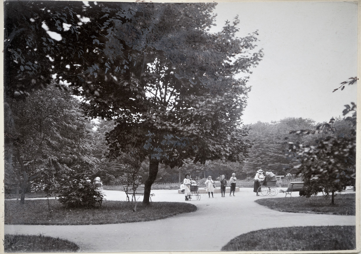 Fotografi og postkort fra Byparken i Haugesund.