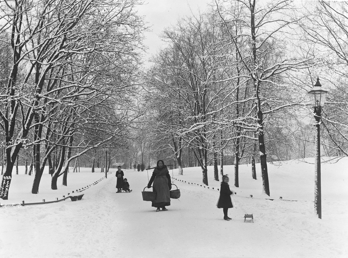 Vinter - Slottsparken vei til Homansbyen 1903