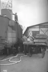 Prot: Fisketransport