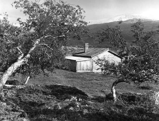 Prot: Jotunheimen, fiskerstue ved Sjoa