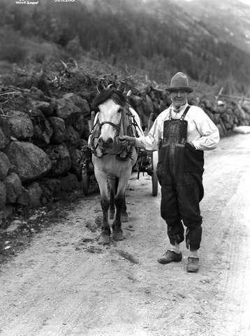 Prot: Setesdøl med hest