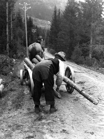 Prot: Setesdal, tømmerkjøring