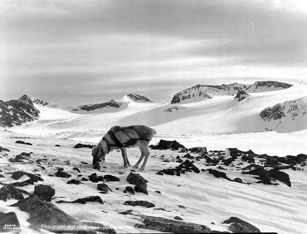 Prot: Jotunheimen vinter, Fra Skautflyen mot Veobræen