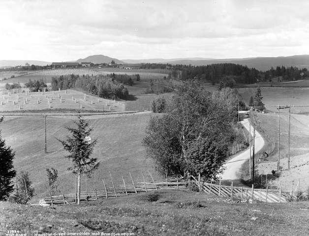 Prot: Veiparti ved Granvolden mot Brandbukampen