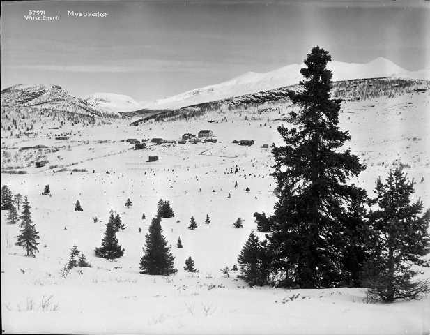 Prot: Mysusæter
Konv: Mysusæter med Rondane