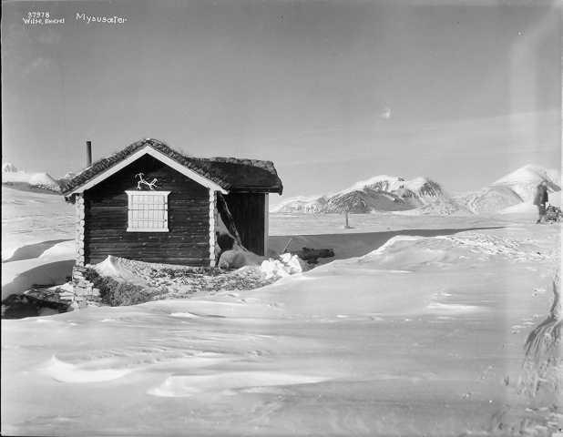 Prot: Mysusæter
Konv: Mysusæter med Rondane