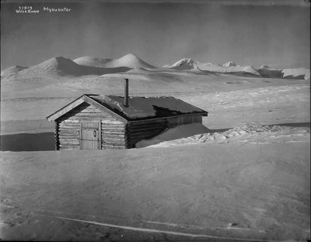 Prot: Mysusæter
Konv: Mysusæter med Rondane