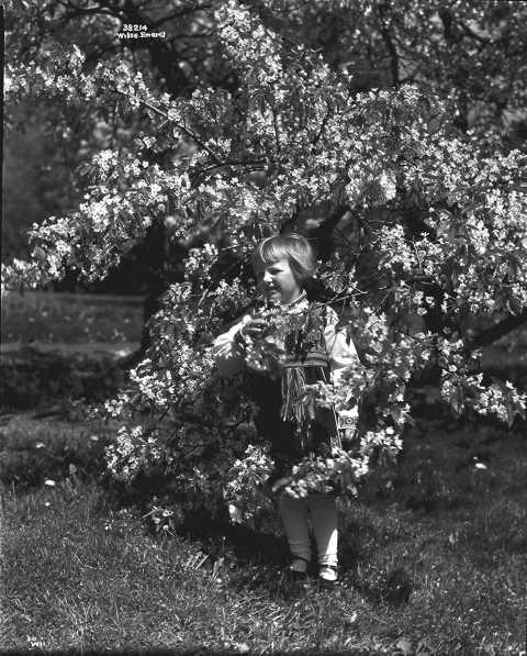 Prot: Frugtblomstring Bolkesjø