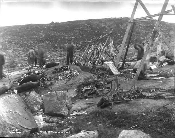 Prot: protokoll uleselig
Konv: Renslagtning
Neg: Fra Hardangervidda