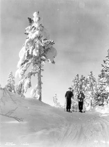 Prot: Kongsberg Fra Løipe