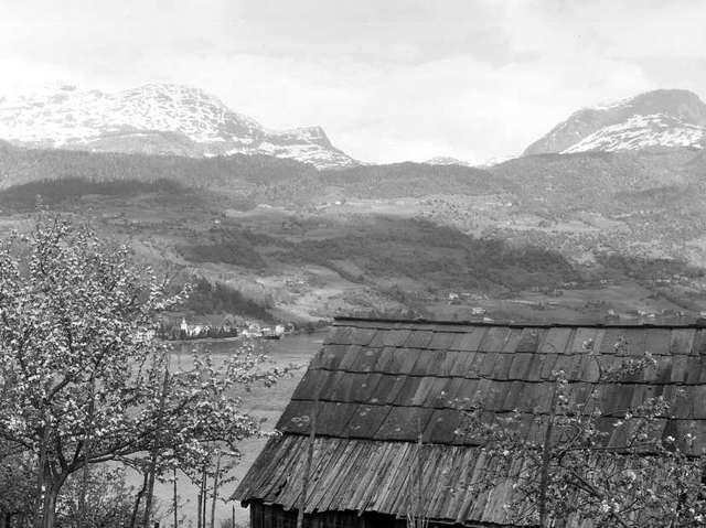 Prot: Ulvik med Skårafjell, Vassfjell