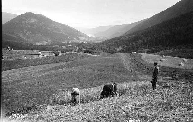 Prot: Vårdalen