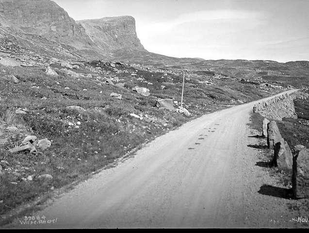 Prot: Haukelifjell