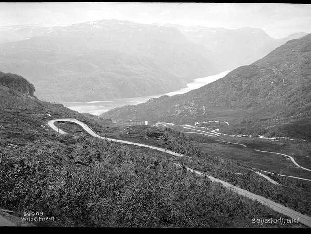 Prot: Over Seljestadfjellet