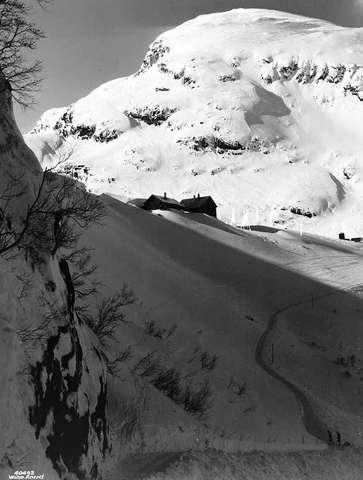 Prot: Bergensbanen Myrdal