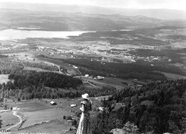 Prot: Høsbjør utsigt mot Brumunmdalen