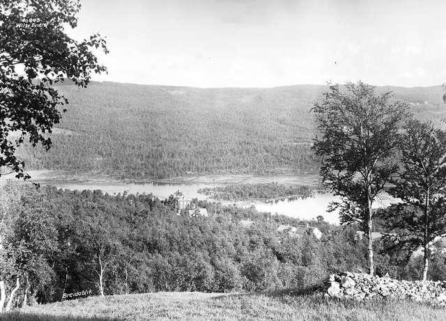 Prot: Geilo Breidablikk hotel