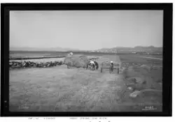 Prot: Lister høiaan