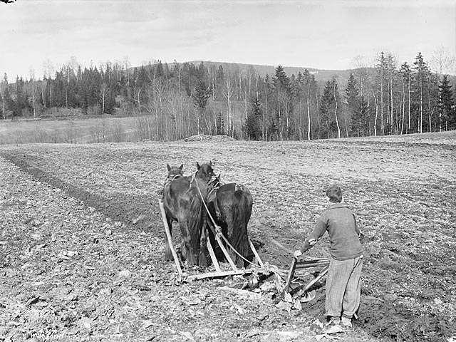 Prot: Oslo omegn, Pløining