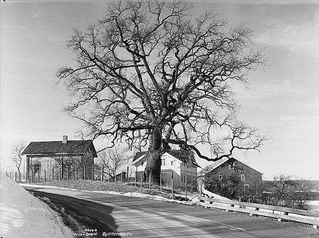 Prot: Vaarbrud Gjelleraasen Ek