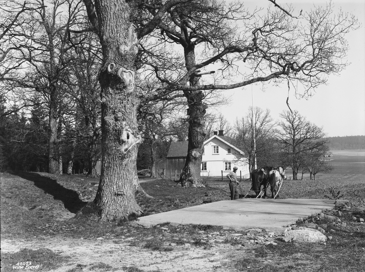 Prot: Pløining Ekeskog