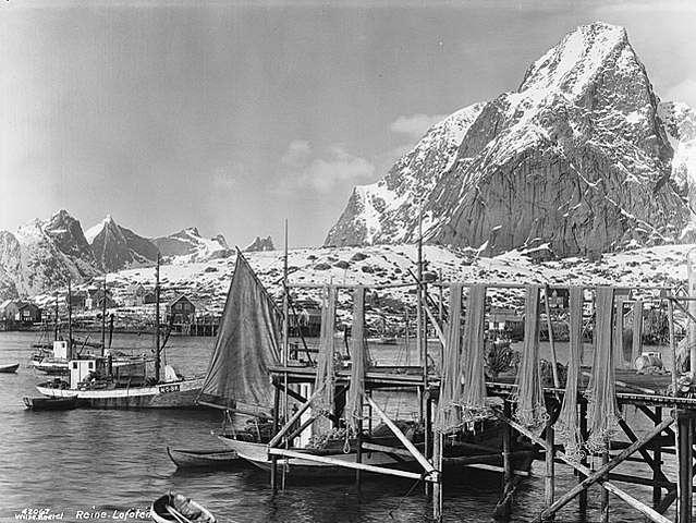 Prot: Lofoten, Reine