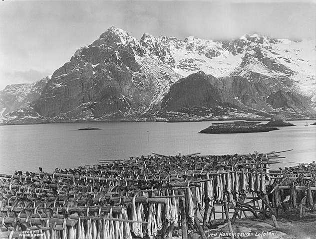 Prot: Lofoten, Henningsvær