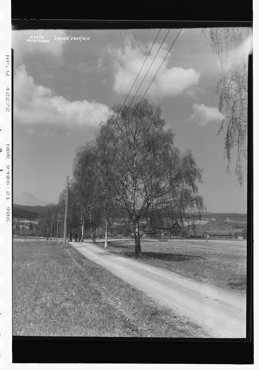 Prot: Aasnes gård Sande Alle