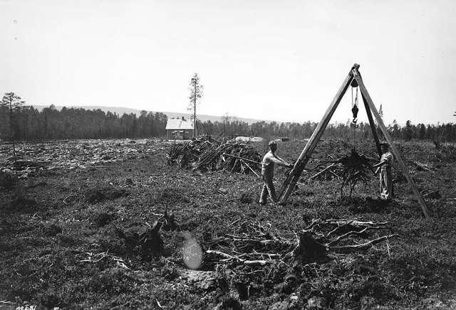 Prot: Rydning stubbehryten