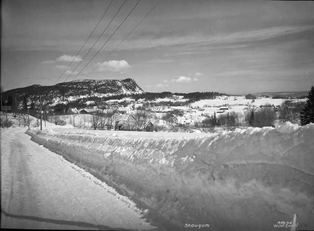 Prot: Vinter Asker veiparti Berg med Skaugum
Konv: Bergsveien med Skaugum