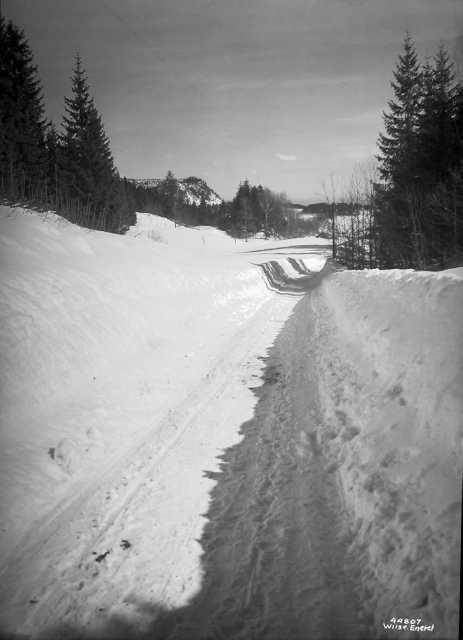Prot: Vinter Asker veiparti
Konv: Bergsmarkveien