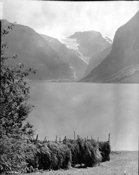 Prot: Nordfjord, Loenvann