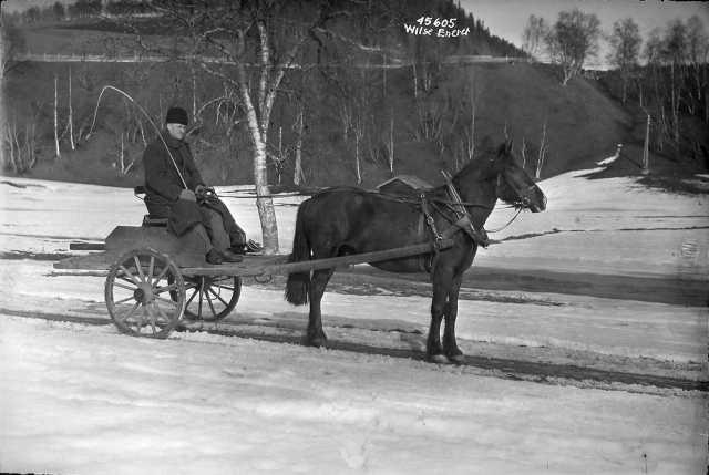 Prot: Hest og Kjerre