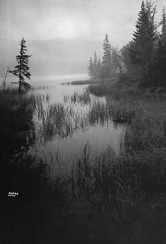 Prot: Fjellvann Tåkedag