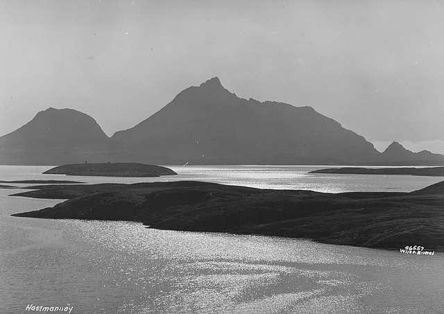 Prot: Selsvik Hestmannøen