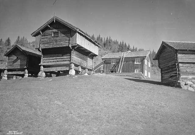 Prot: Fjell - gården - Høidalsmo