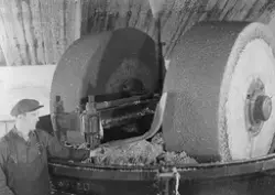 Prot: Mesna tresliperi int mølle  regenerat