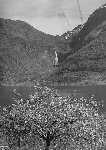 Prot: Lysterfjord Fejgumsfoss fra Nes