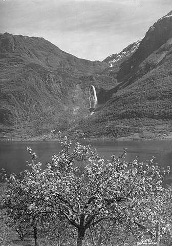 Prot: feil i protokoll
Konv: Lysterfjord, Nes mot Fejgumsfoss