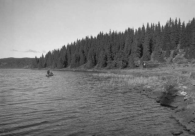 Prot: Høifjell Etnadalen Fiskebu på Killingshusfjorden