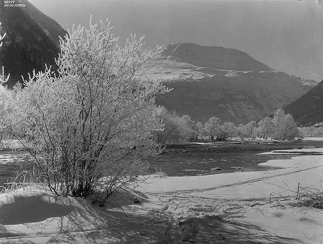 Prot: Gaustadtoppen fra Vestfjordalen Rim