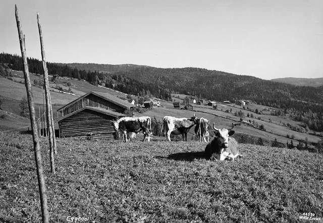 Prot: Gvarv jernbane og kjørebro over Selfjordelven
Konv: Jernb bro over Selfjordelven