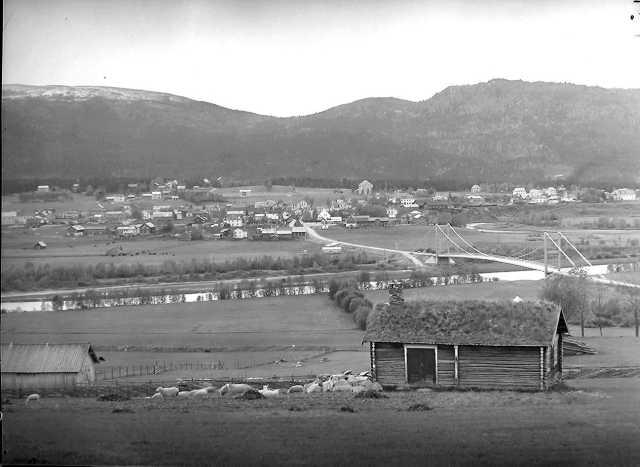 Prot: Østerdalen Tynset